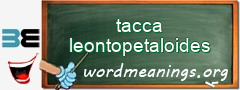 WordMeaning blackboard for tacca leontopetaloides